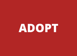 AAF_20-_20Adopt_20Button.png
