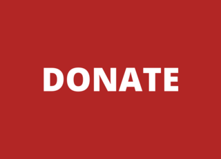 AAF_20-_20Donate_20Button.png